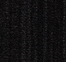 Грязезащитные покрытия Forbo Coral Brush 5750 aztec black фото 1 | FLOORDEALER